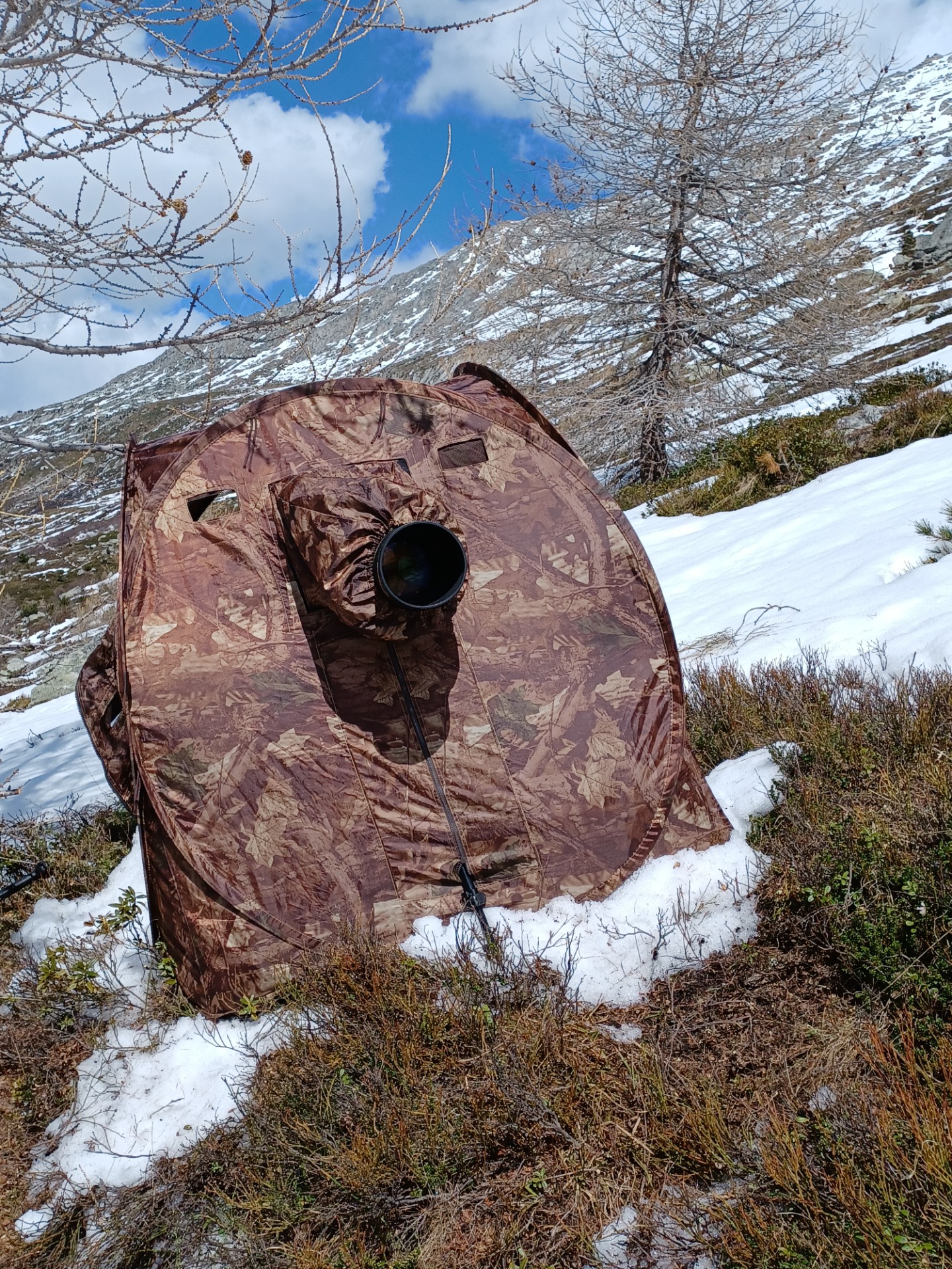 Rendez vous annuel sur la place de chant du tétras lyre !